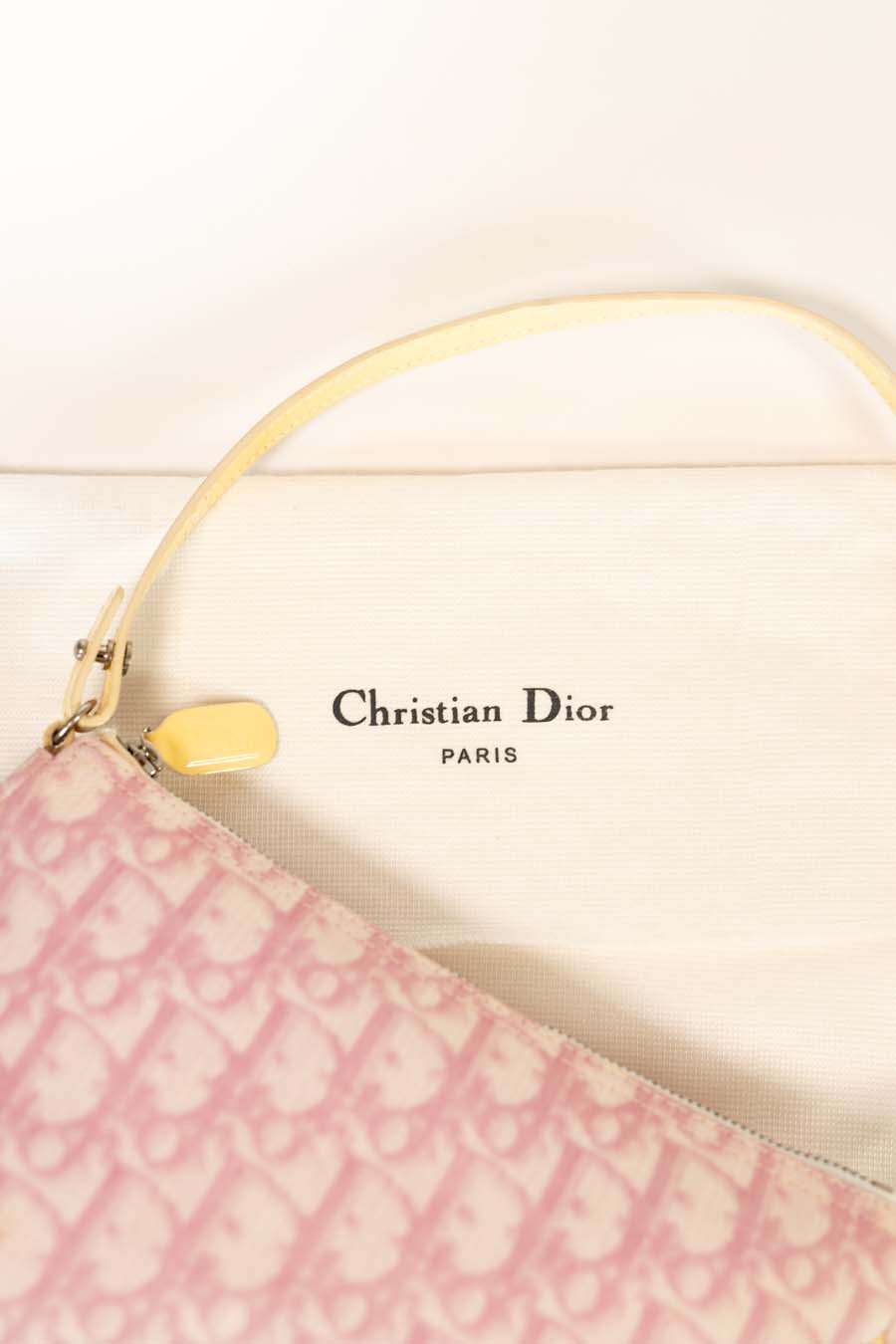 Dior Vintage Saddle Diorissimo Leather